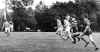 Rugger.jpg (342564 bytes)